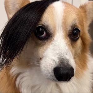 Meet your Posher, Aidan